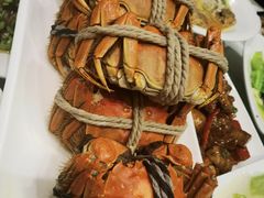 大闸蟹-华盛丰温州大排档(东三环南路店)