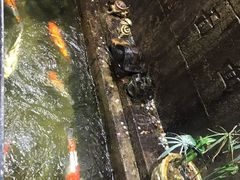 -吴财记面家(大同路店)