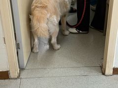 -宠颐生宠物医院·异宠猫科内科·诊疗中心宠巢店