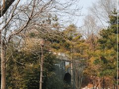 -云岗森林公园