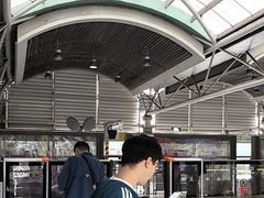 -知春路(地铁站)