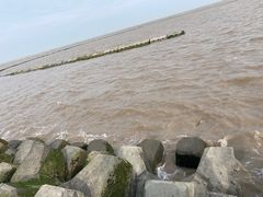 -南汇嘴观海公园