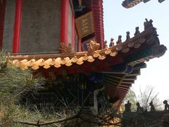 -高尔山公园