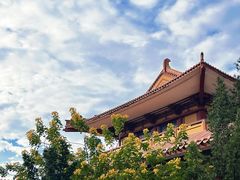 -三水森林公园
