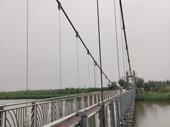 -西青郊野公园