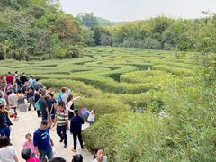 -大屏嶂森林公园