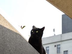 -UNI UNI(环亚凯瑟琳店)