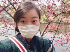 -重庆彩云湖湿地公园