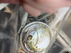 -茶月山·潮汕工夫茶饮(乐峰广场店)