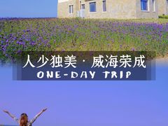 -那香海钻石沙滩浴场