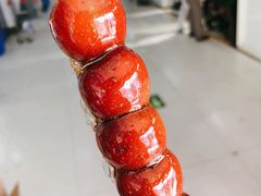 -和禄德冰糖葫芦