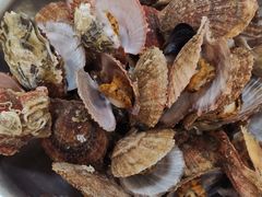 -宾朋海鲜特色美食餐厅·纯手工鲅鱼水饺(兴海路店)