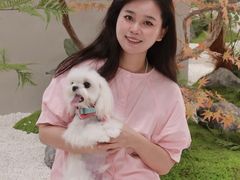 -帕帕拉兹宠物(亚洲旗舰店)