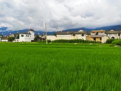 -喜林苑·稻田餐厅(品相府店)