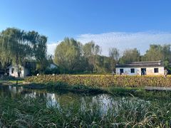 -溱湖国家湿地公园