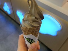 铁观音冰激凌-放牛斑(中华城店)