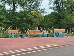 -白鹭湾湿地公园