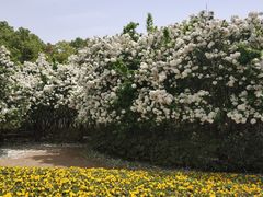 -宜兴龙背山森林公园