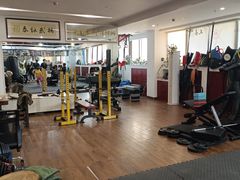 -温鉴良实用咏春拳