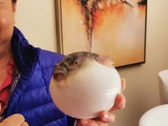 -永安鱼庄·镇江菜(东吴路店)