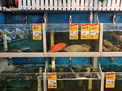 -鑫悦楼煎蟹·16年海鲜大排档