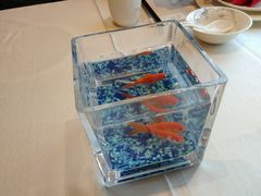-海鸿荟·沿江菜(中山北路店)