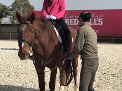 -松声马术俱乐部