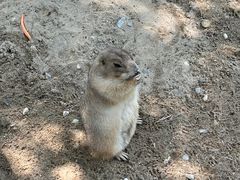 -苏州太湖西山岛开心农场
