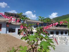 -天天向上素食餐厅(五台山店)
