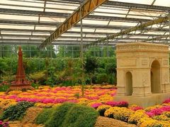 -南宫五洲植物乐园