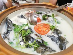 -全乐鱼馆·淳牌有机鱼直营店