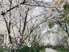 -上海财经大学(国定路校区)