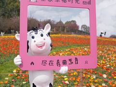 -秀丽东方