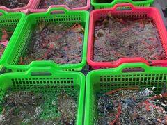 -众味海鲜大排档·活海鲜·潮汕味(南澳店)