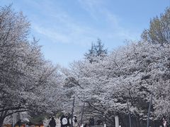 -杭州少年儿童公园