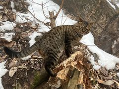 -终南山南五台景区