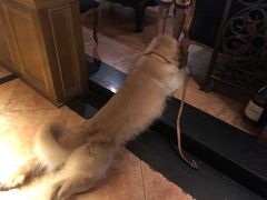 -火车头法国西餐厅