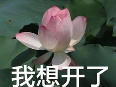 -南京医科大学(江宁校区)