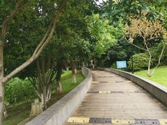 -月湖风景区