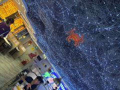 -徐记小怪兽肉蟹煲(中央大街店)