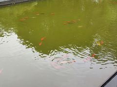 -八大山人梅湖景区
