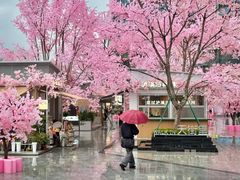 -首开·龙湖成都西宸天街