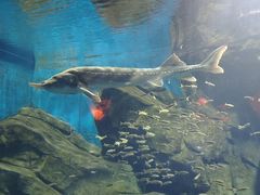 -石家庄海洋公园