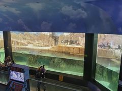 -成都浩海立方海洋公园