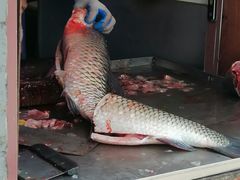 -梅记大块头爆鱼店(乍浦路店)