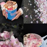 三里屯限定少女感gelato太美腻了