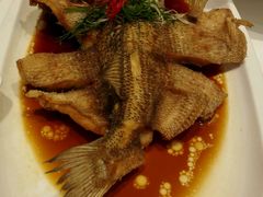 android_upload_pic-至潮餐厅精致粤菜·活鲈鱼·走地鸡(珠江新城店)