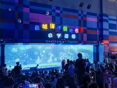 -泉城欧乐堡海洋极地世界