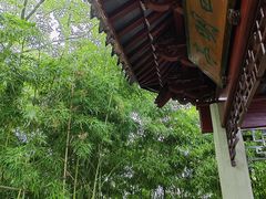-天一阁博物院