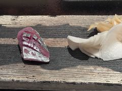 -築地青空三代目(銀座三越店)